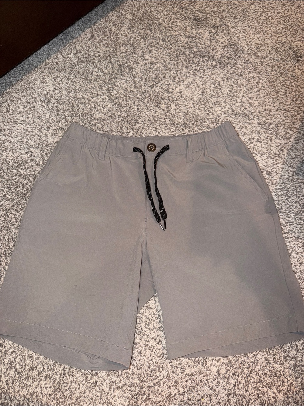Men's Chubbies Gray Drawstring Shorts